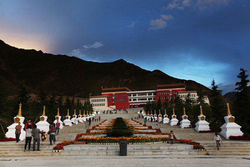 1457946165638204.jpg 96b78873-7d0f-4946-9bde-7b83ae7e584e.jpg