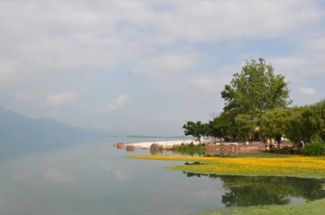 1470119787588889.jpg 640 (5).jpg