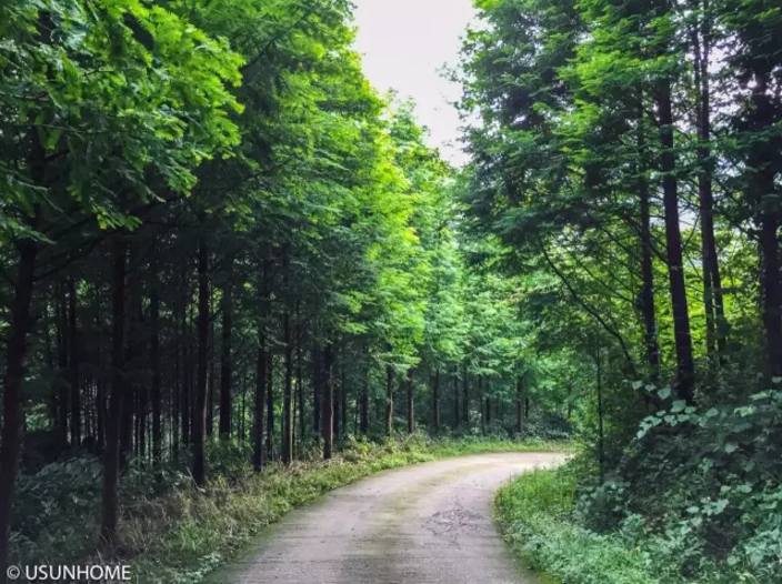 1498531795682397.png 1.png