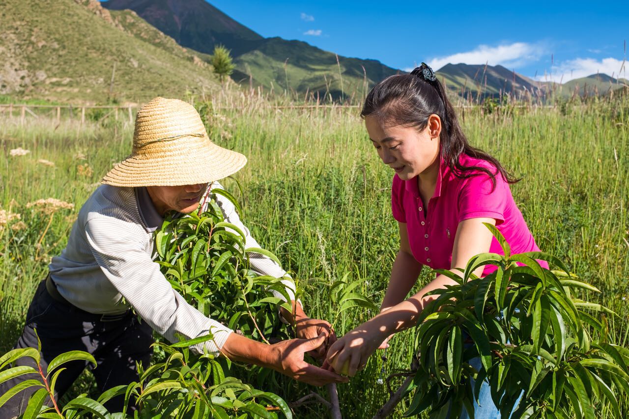 1504070760685496.jpg 微信圖片_20170829134231.jpg