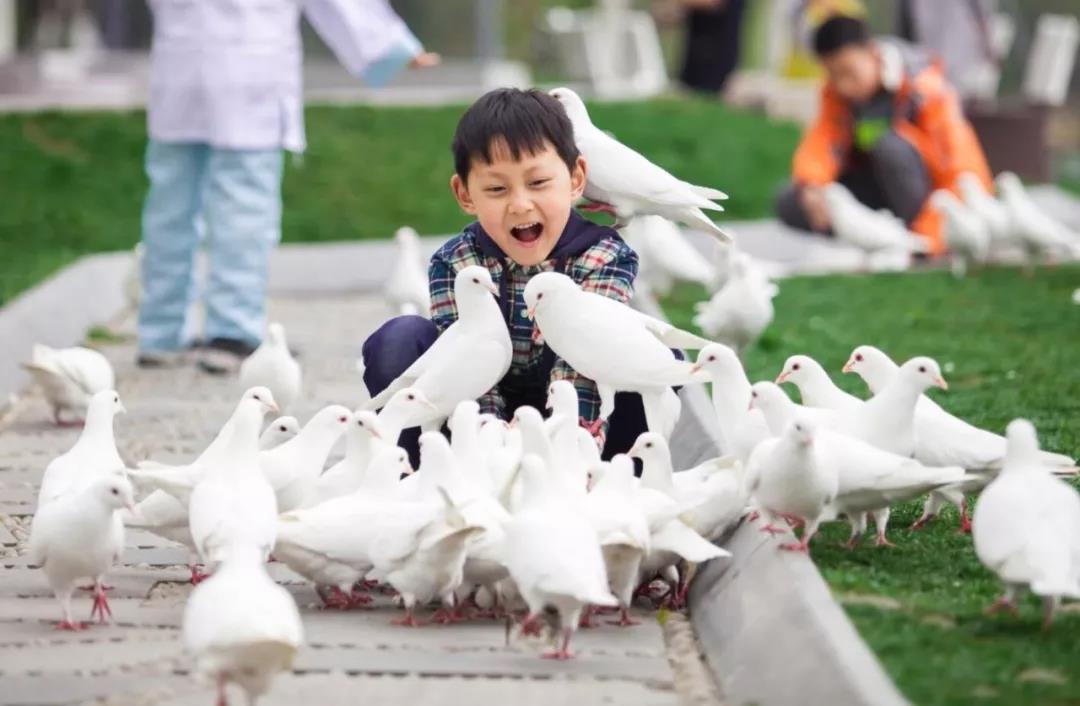 1579052431100965.jpg 微信圖片_20200115093023.jpg